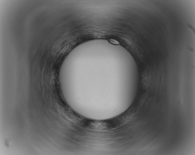 X0000101650221200807241402