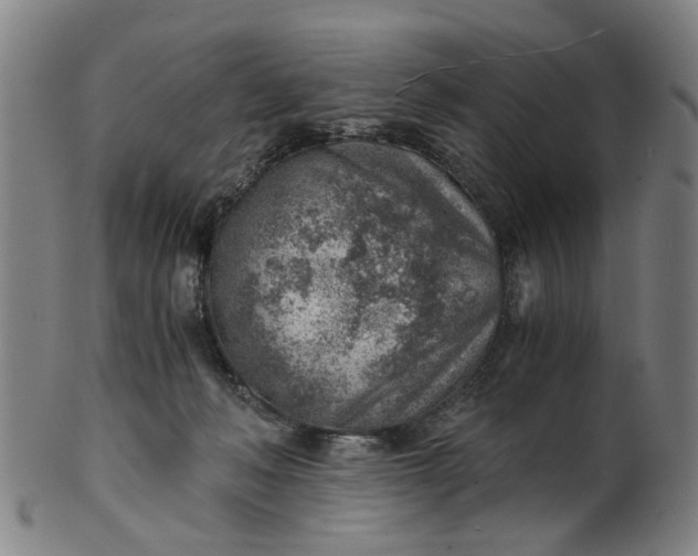 X0000101650222200807241402