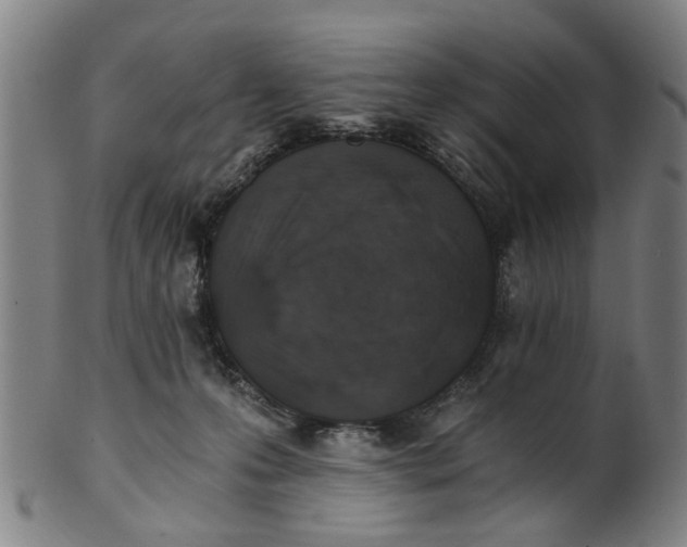 X0000101650223200807241402