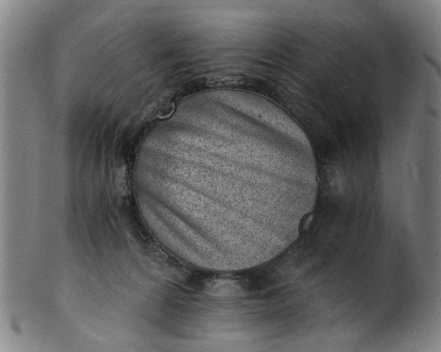 X0000101650224200807241402