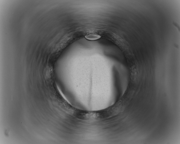 X0000101650225200807241402