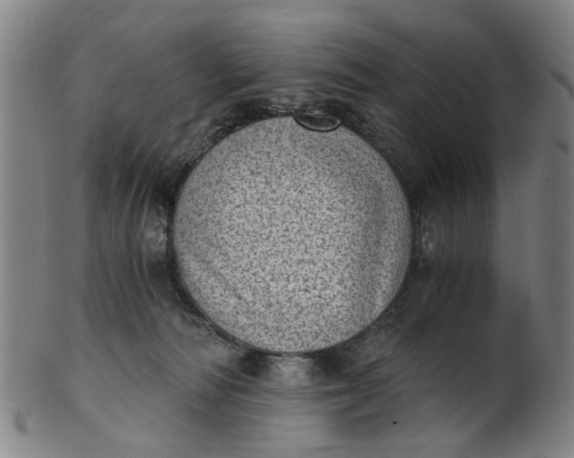 X0000101650226200807241402