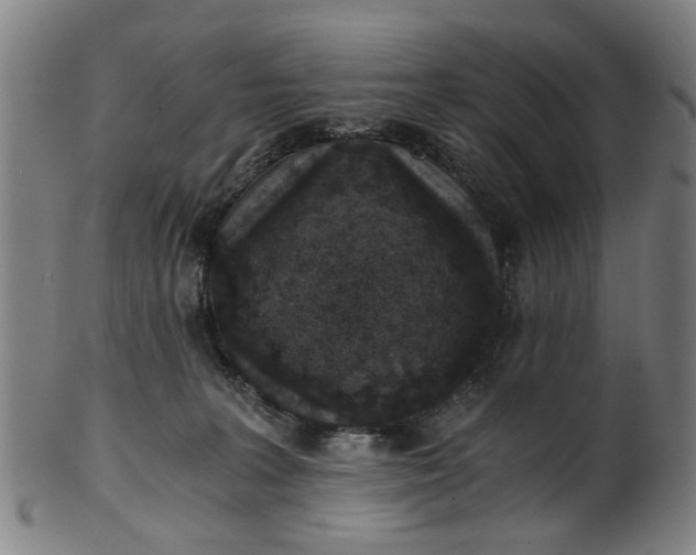 X0000101650227200807241402