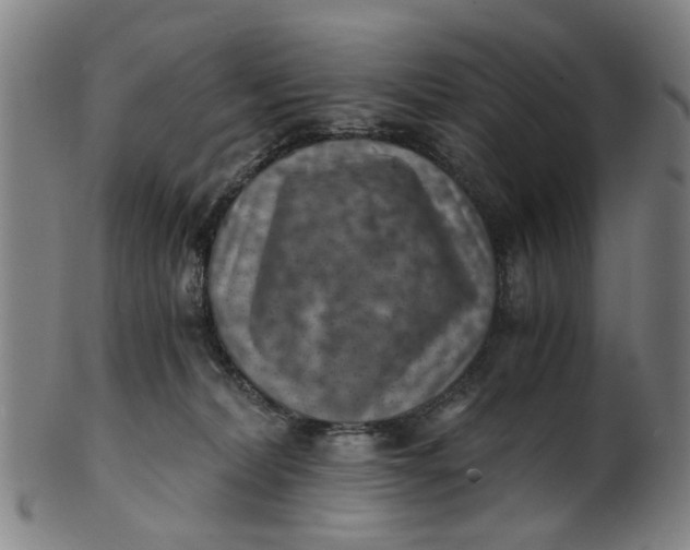 X0000101650228200807241402