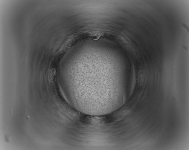 X0000101650229200807241402