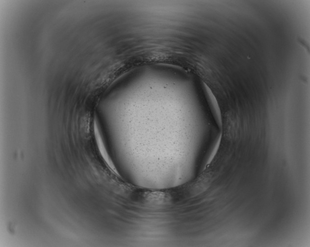 X0000101650230200807241402