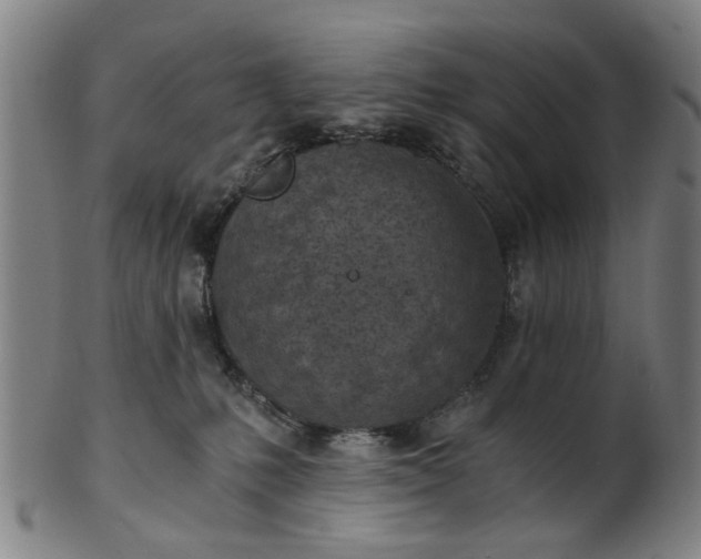 X0000101650231200807241402
