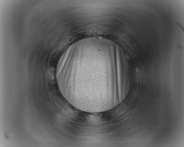 X0000101650232200807241402