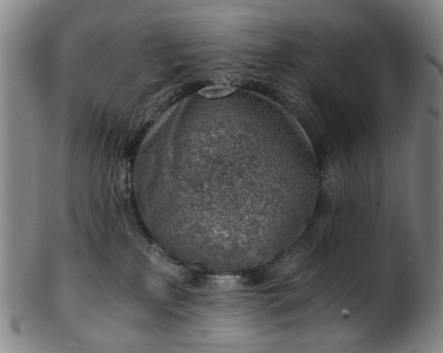 X0000101650233200807241402