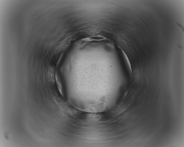 X0000101650234200807241402