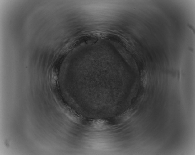 X0000101650235200807241402