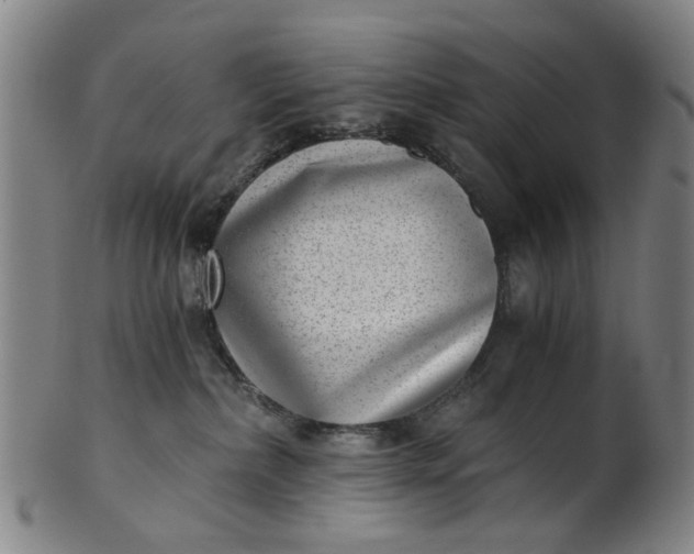 X0000101650236200807241402