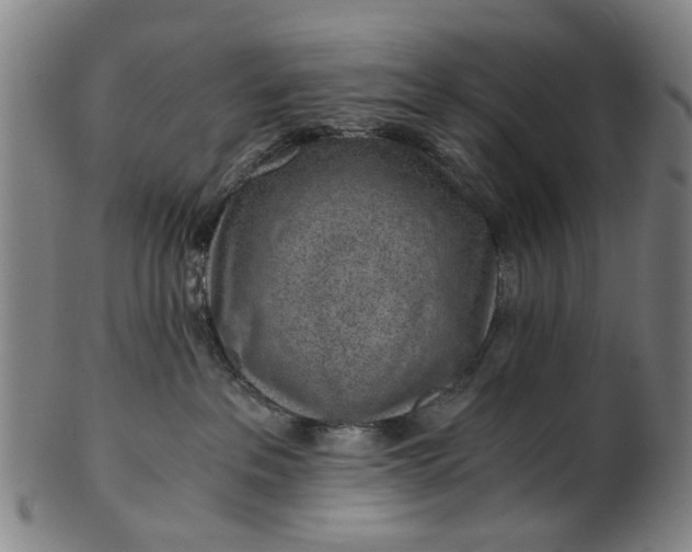 X0000101650237200807241402