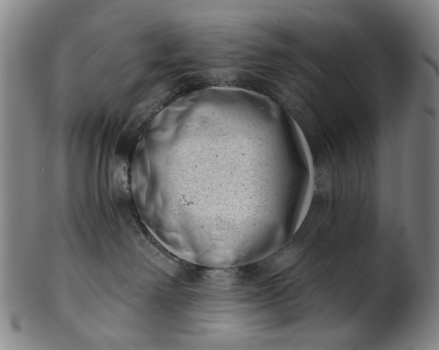 X0000101650238200807241402