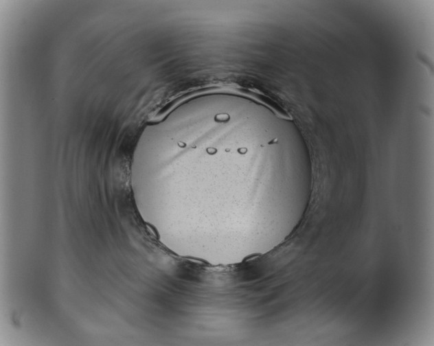 X0000101650240200807241402