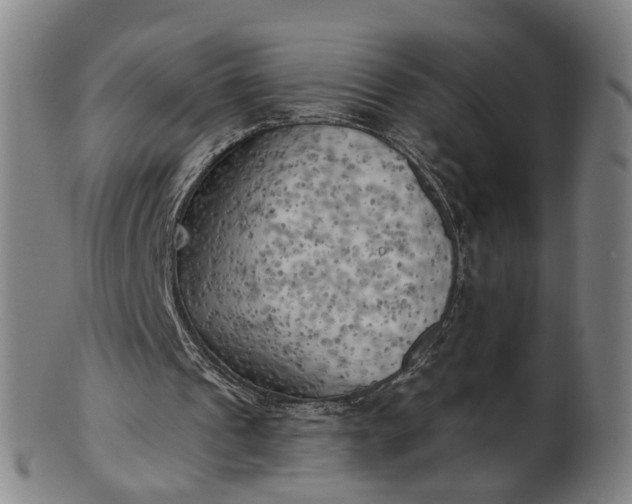 X0000101650241200807241401