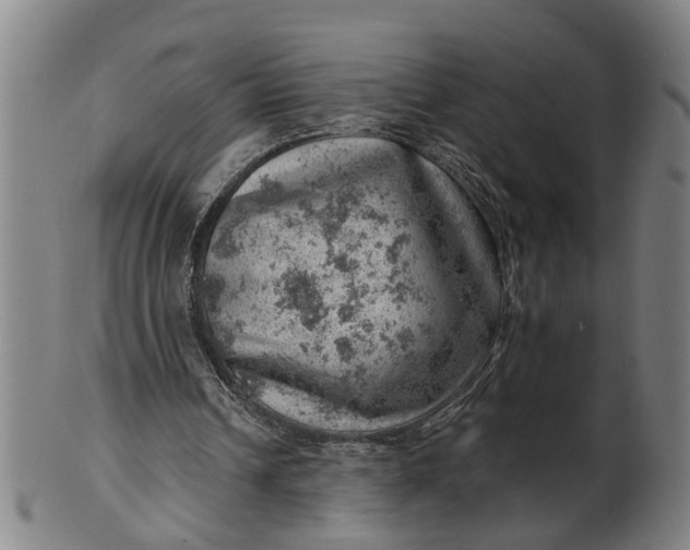 X0000101650242200807241401