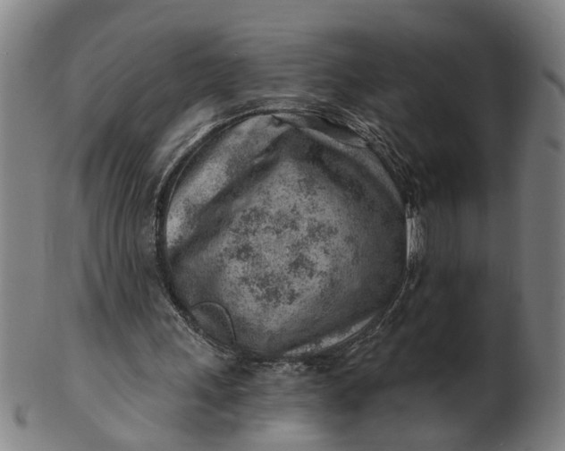 X0000101650243200807241401