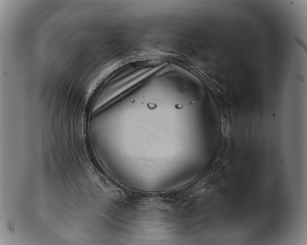 X0000101650244200807241401