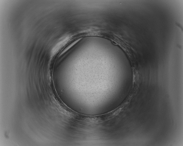 X0000101650245200807241401