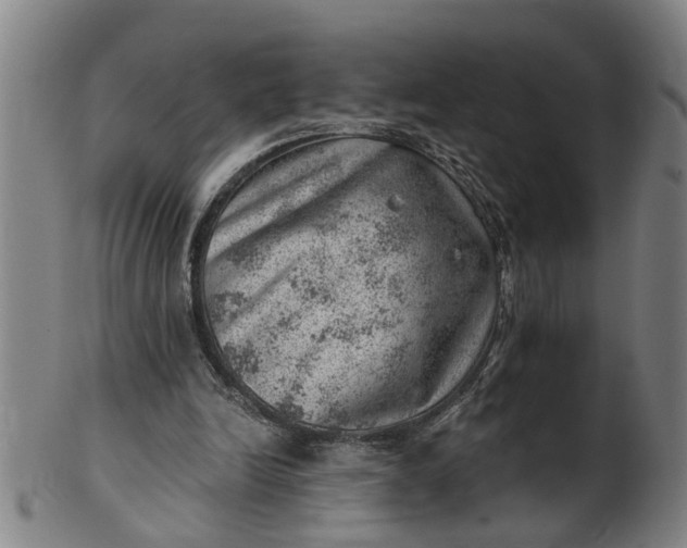 X0000101650246200807241401