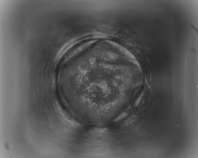 X0000101650247200807241401