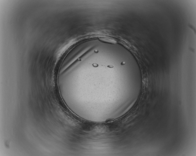 X0000101650248200807241401