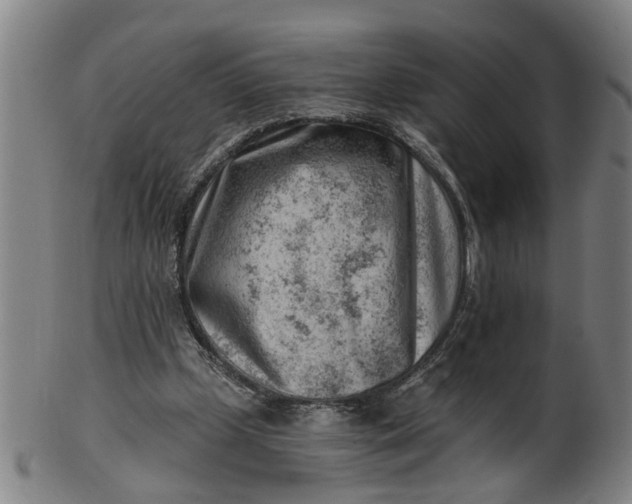 X0000101650249200807241401