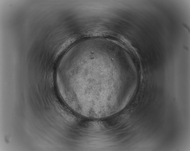 X0000101650250200807241401