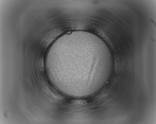 X0000101650251200807241401