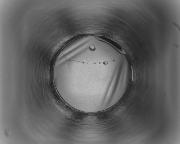 X0000101650252200807241401