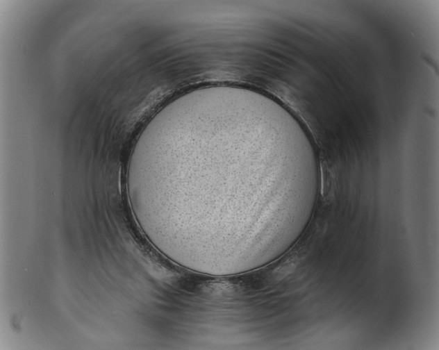 X0000101650253200807241401