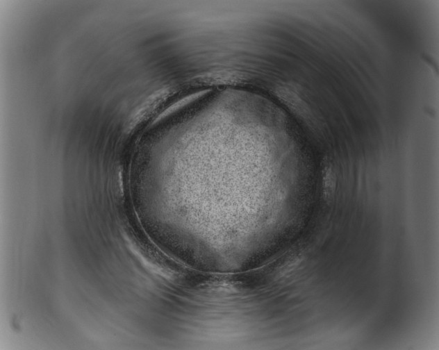 X0000101650254200807241401