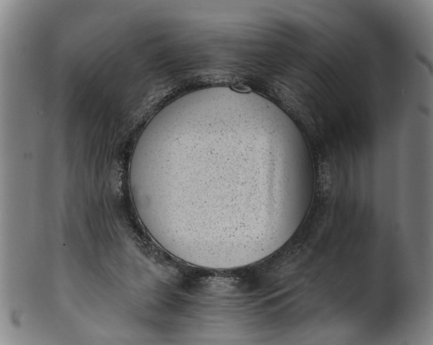 X0000101650255200807241401