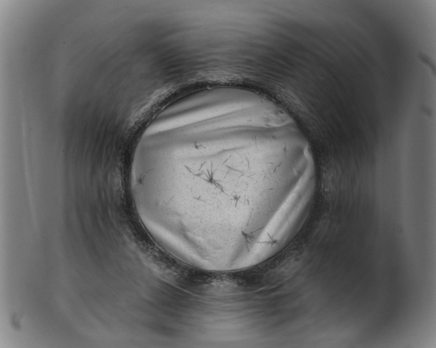 X0000101650256200807241401