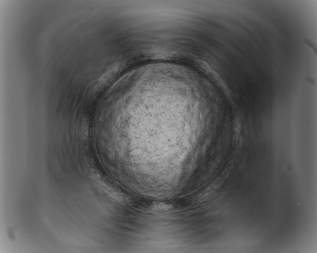 X0000101650257200807241401