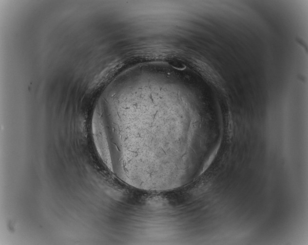 X0000101650258200807241401