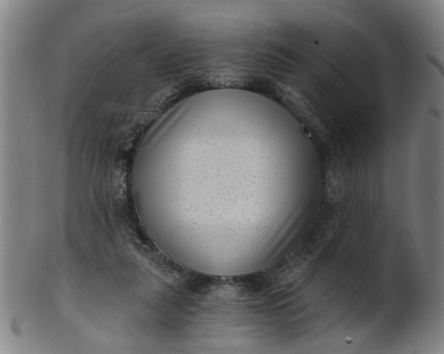 X0000101650259200807241401