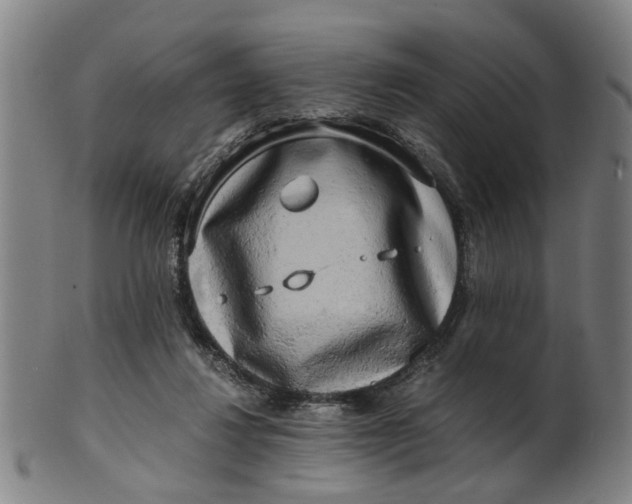 X0000101650260200807241401