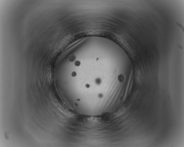 X0000101650261200807241401