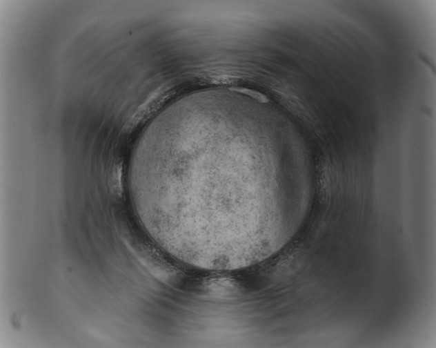 X0000101650262200807241401