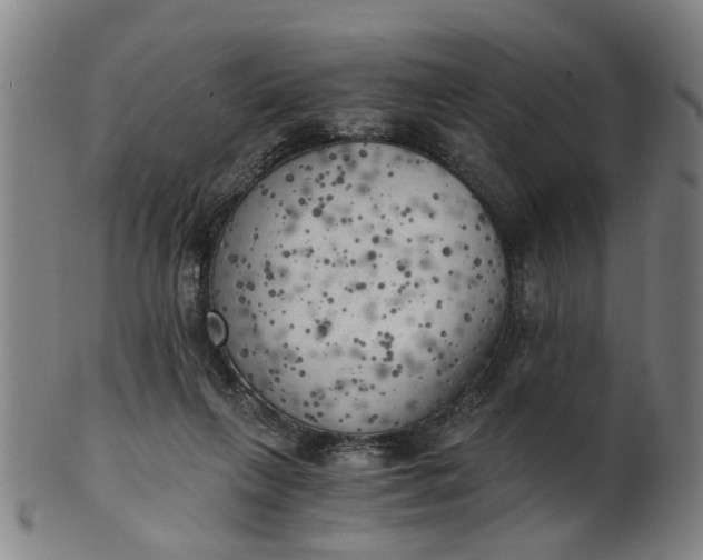 X0000101650263200807241401