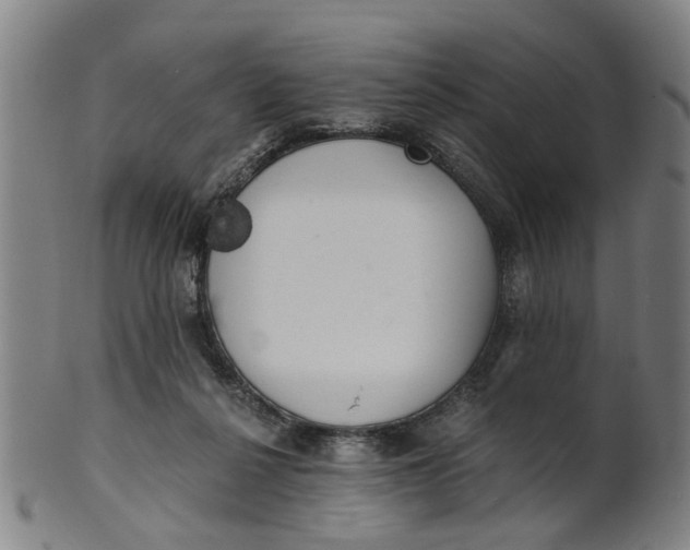 X0000101650264200807241401