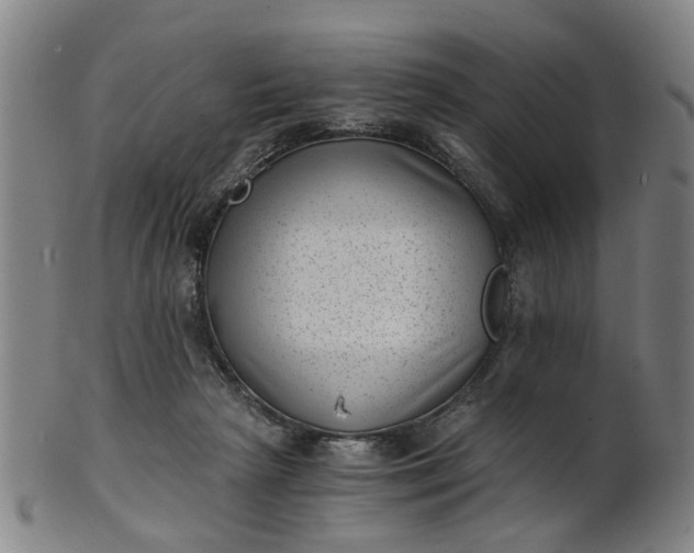 X0000101650265200807241401