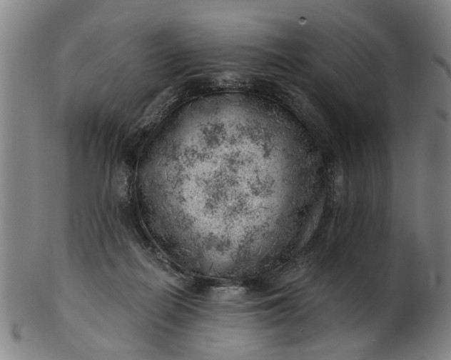 X0000101650266200807241401