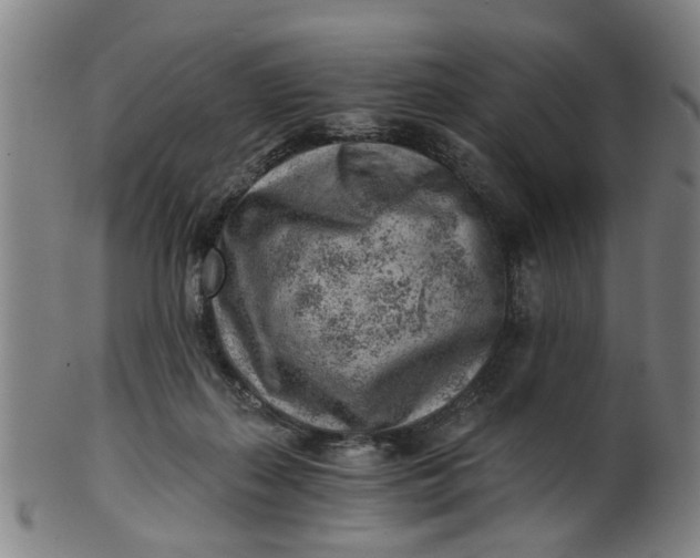 X0000101650267200807241401