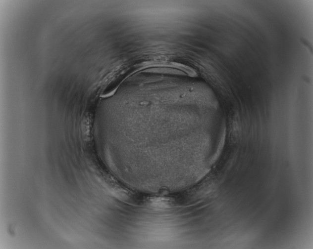 X0000101650268200807241401