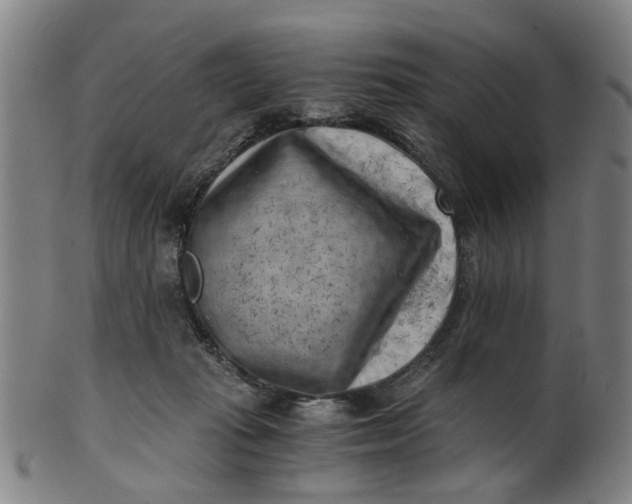 X0000101650269200807241401