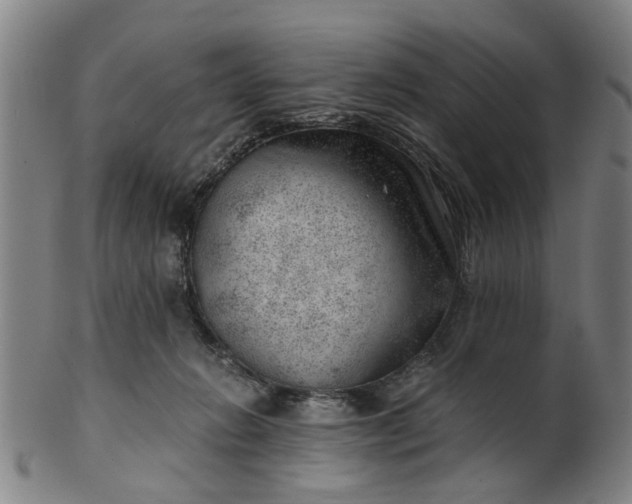 X0000101650270200807241401