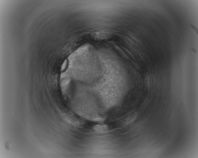 X0000101650271200807241402